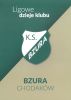 Ligowe dzieje klubu Bzura Chodaków